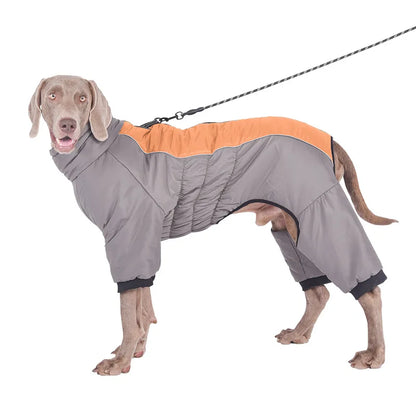 Down Dog Winter Jacket
