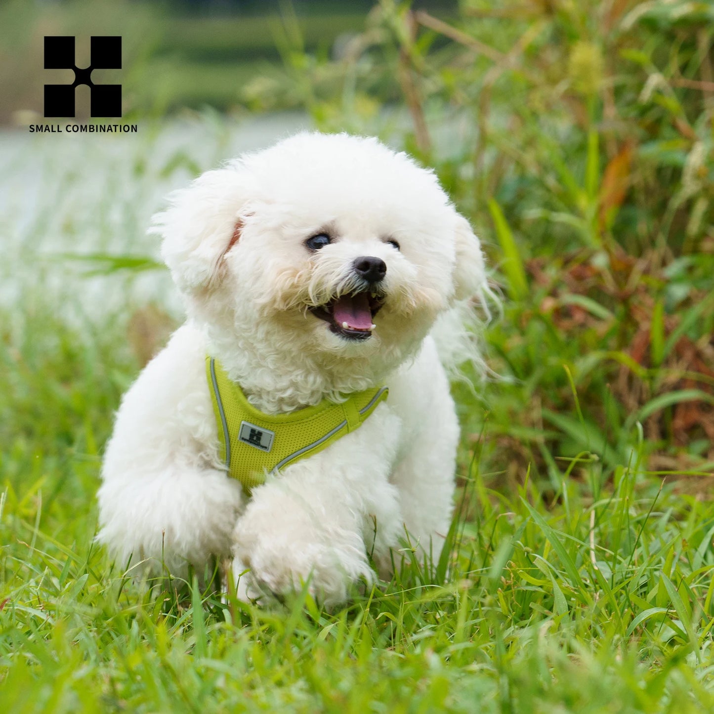 Adjustable Reflective Dog Harness & Leash Set for Small to Medium Dogs