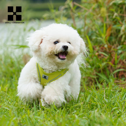 Adjustable Reflective Dog Harness & Leash Set for Small to Medium Dogs