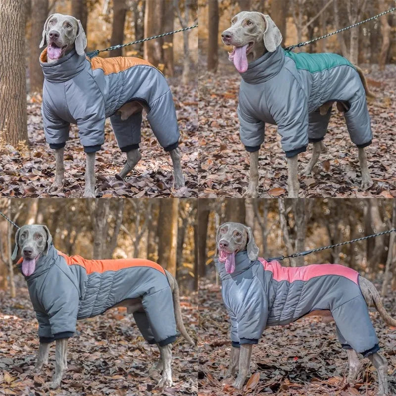 Down Dog Winter Jacket