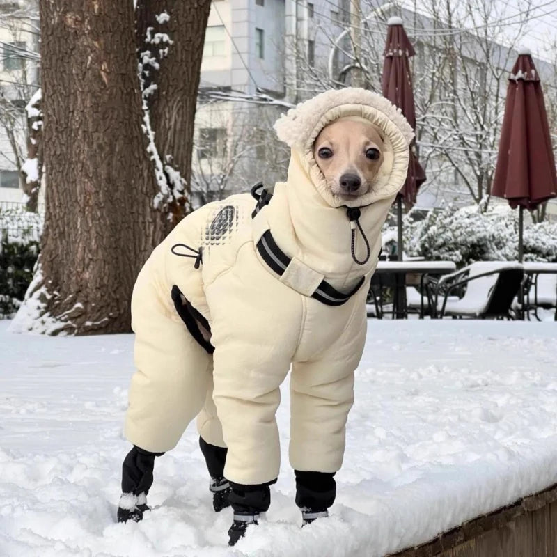 Warm Cotton Dog Jacket