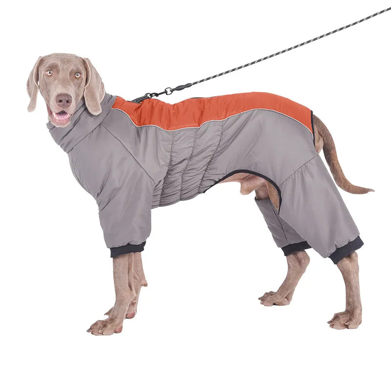 Down Dog Winter Jacket