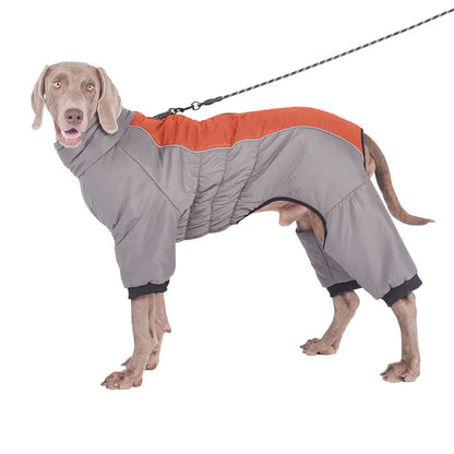 Down Dog Winter Jacket