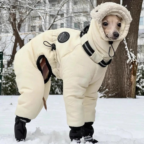 Warm Cotton Dog Jacket