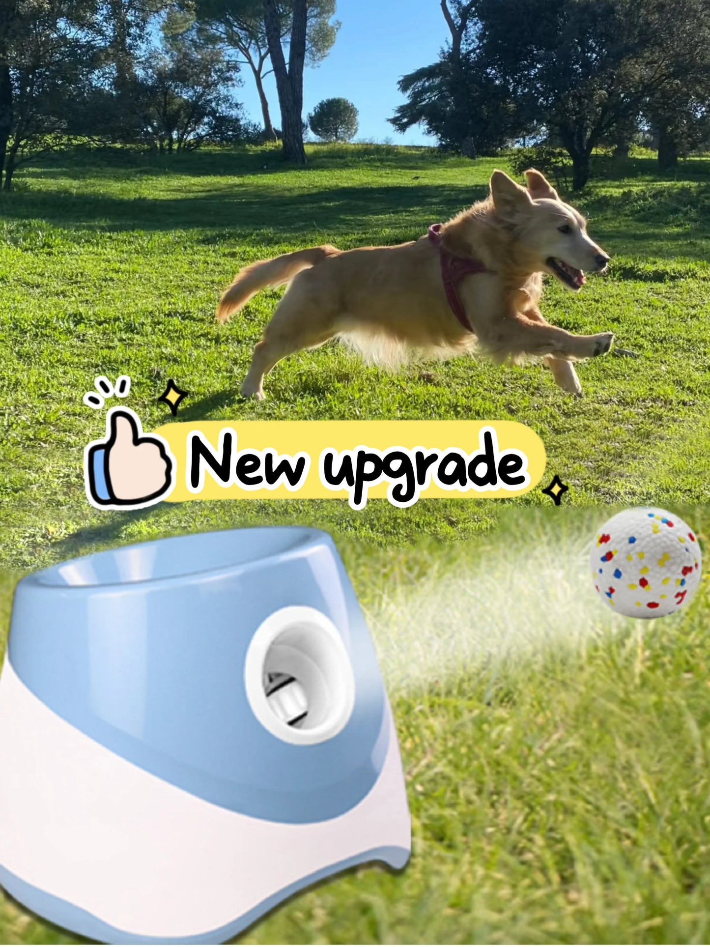 Automatic Dog Ball Launcher Rechargeable USB Interactive Fetch Toy