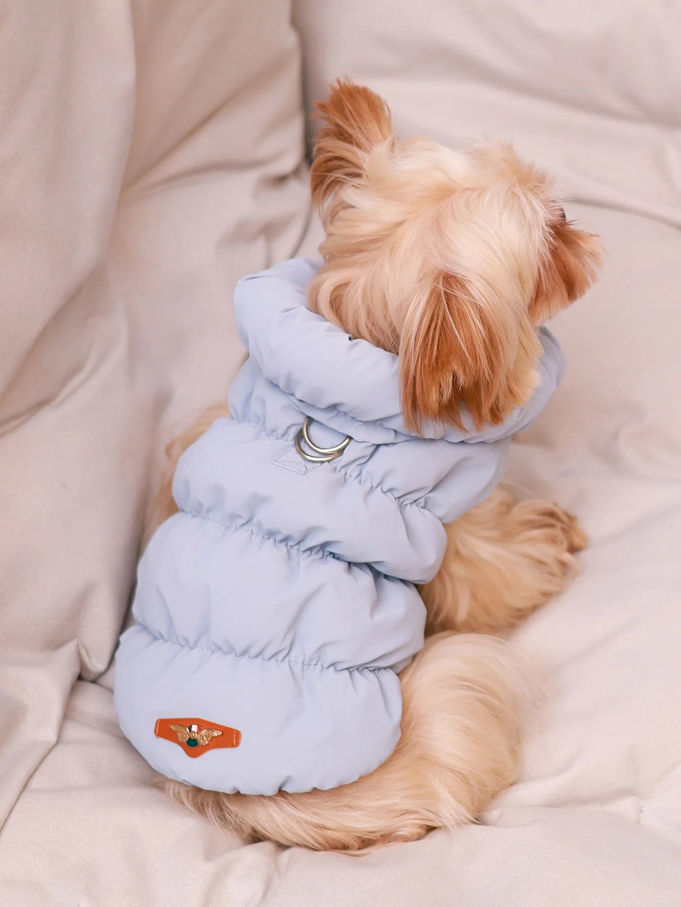 Thick 3‑Layer Warm Dog Jacket for Autumn/Winter Small to Medium Dogs