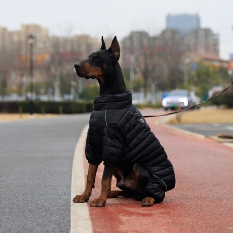 Cotton-Padded Dog Winter Coat