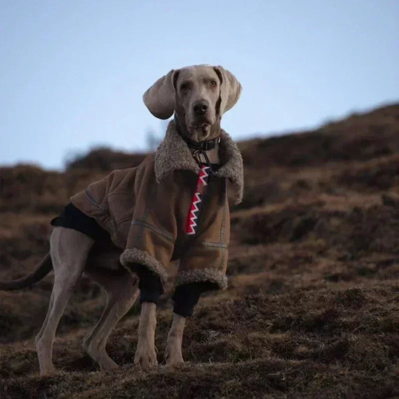 Large Dog Winter Coat