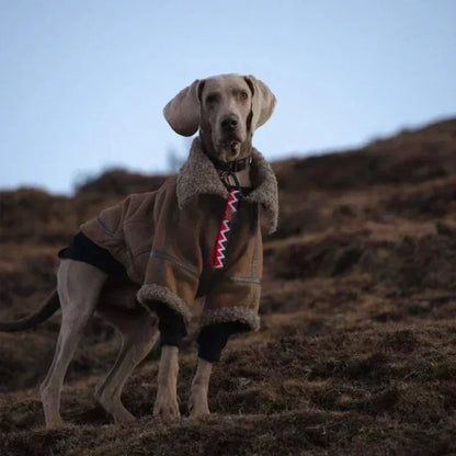 Large Dog Winter Coat