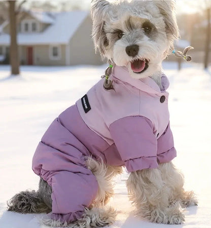 Four-Leg Dog Winter Coat