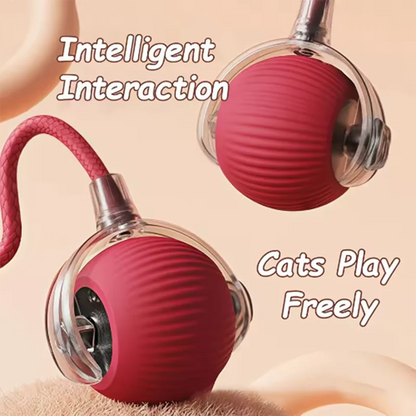 Intelligent Interactive Pet Ball with Obstacle Avoidance for Dogs & Cats