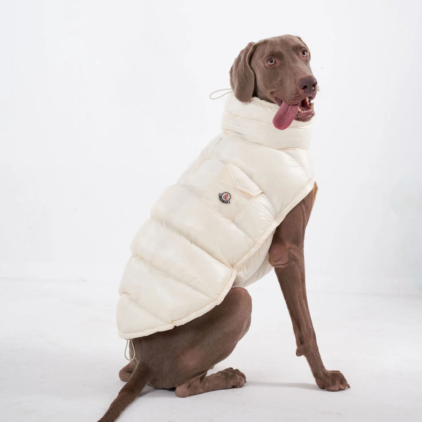 High Collar Dog Down Jacket