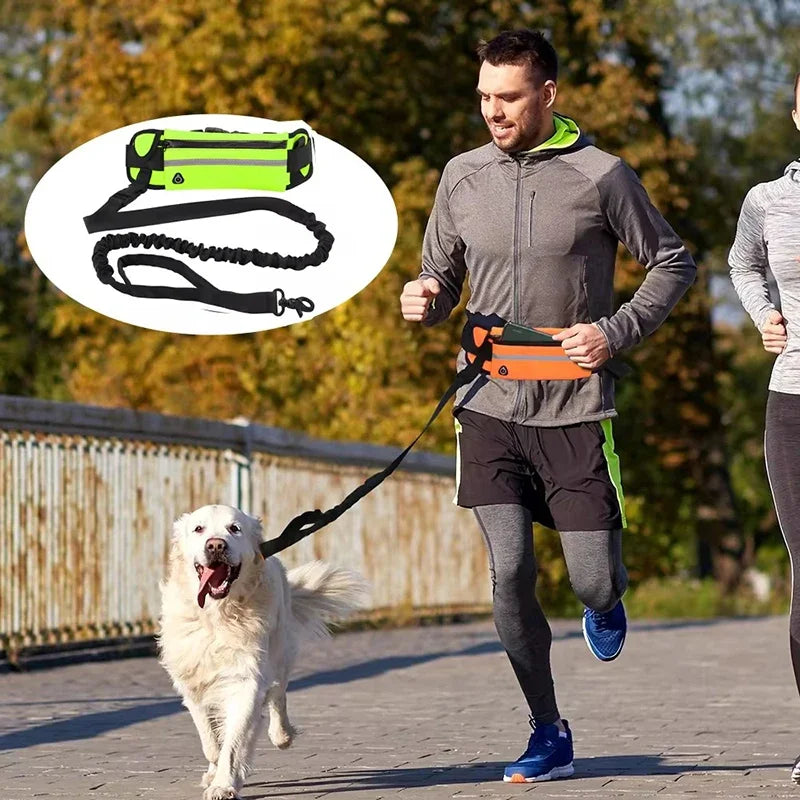 Hands-Free Reflective Dog Leash with Waist Belt and Retractable Elastic