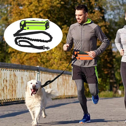 Hands-Free Reflective Dog Leash with Waist Belt and Retractable Elastic