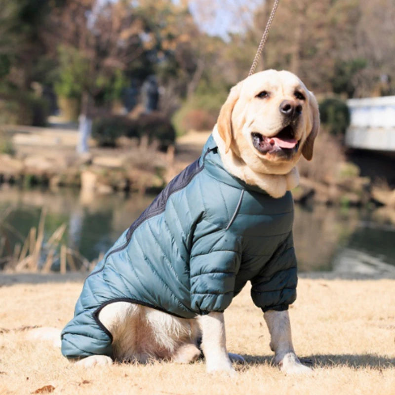 Cotton-Padded Dog Winter Coat