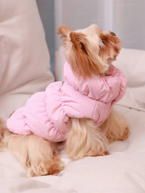 Thick 3‑Layer Warm Dog Jacket for Autumn/Winter Small to Medium Dogs