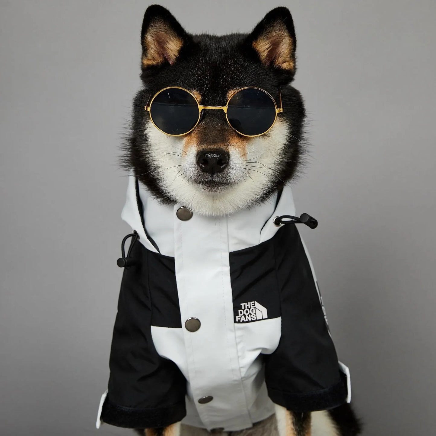 Dog Windbreaker Raincoat Hoodie – Lightweight Jacket for Small & Large Dogs