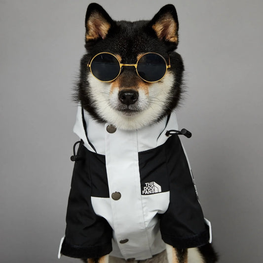 Dog Windbreaker Raincoat Hoodie – Lightweight Jacket for Small & Large Dogs