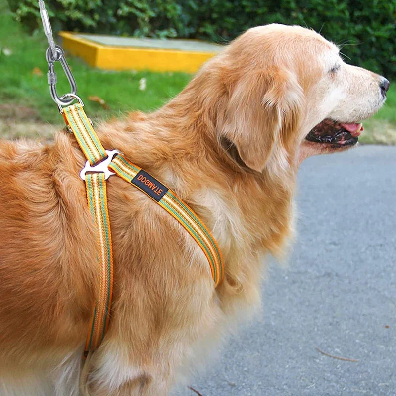 Double‑Headed Dog Tie Out Cable Leash with Anti‑Rust Steel Wire