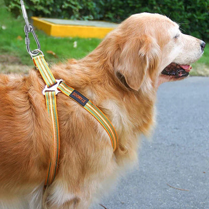 Double‑Headed Dog Tie Out Cable Leash with Anti‑Rust Steel Wire